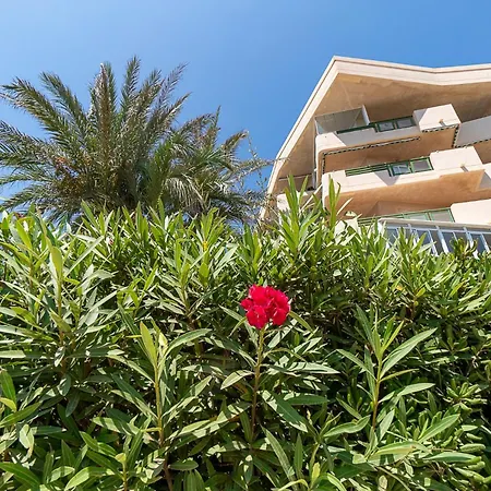 Amarillo Pilar de la Horadada